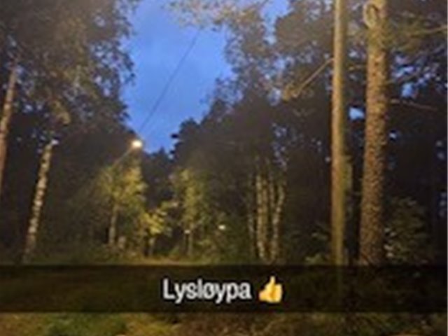 Lysløype på Gratjønn