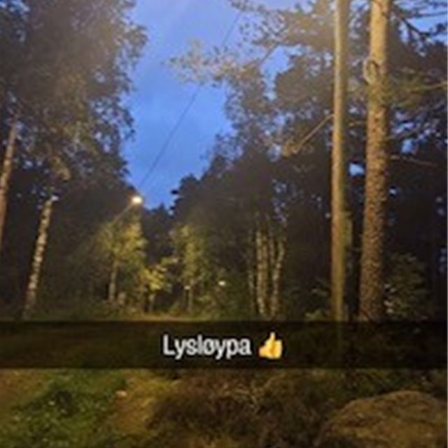 Lysløype på Gratjønn