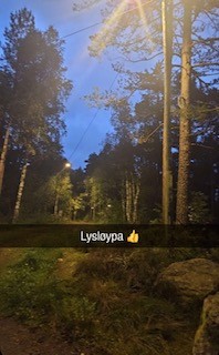 Lysløype Gratjønn