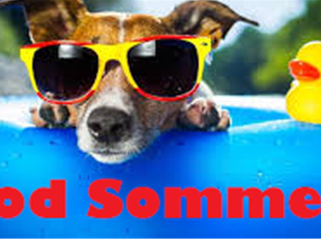 GOD sommer