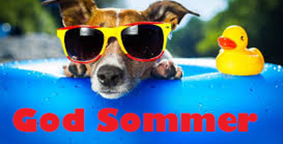 sommer-2018